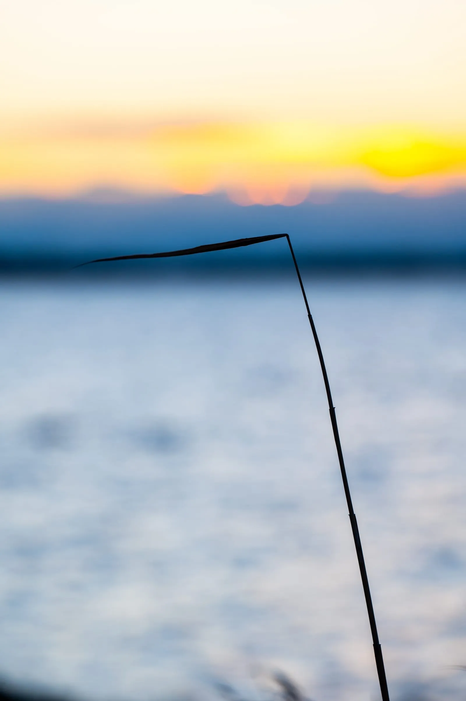 Morgennebel über dem Bodensee bei Allensbach