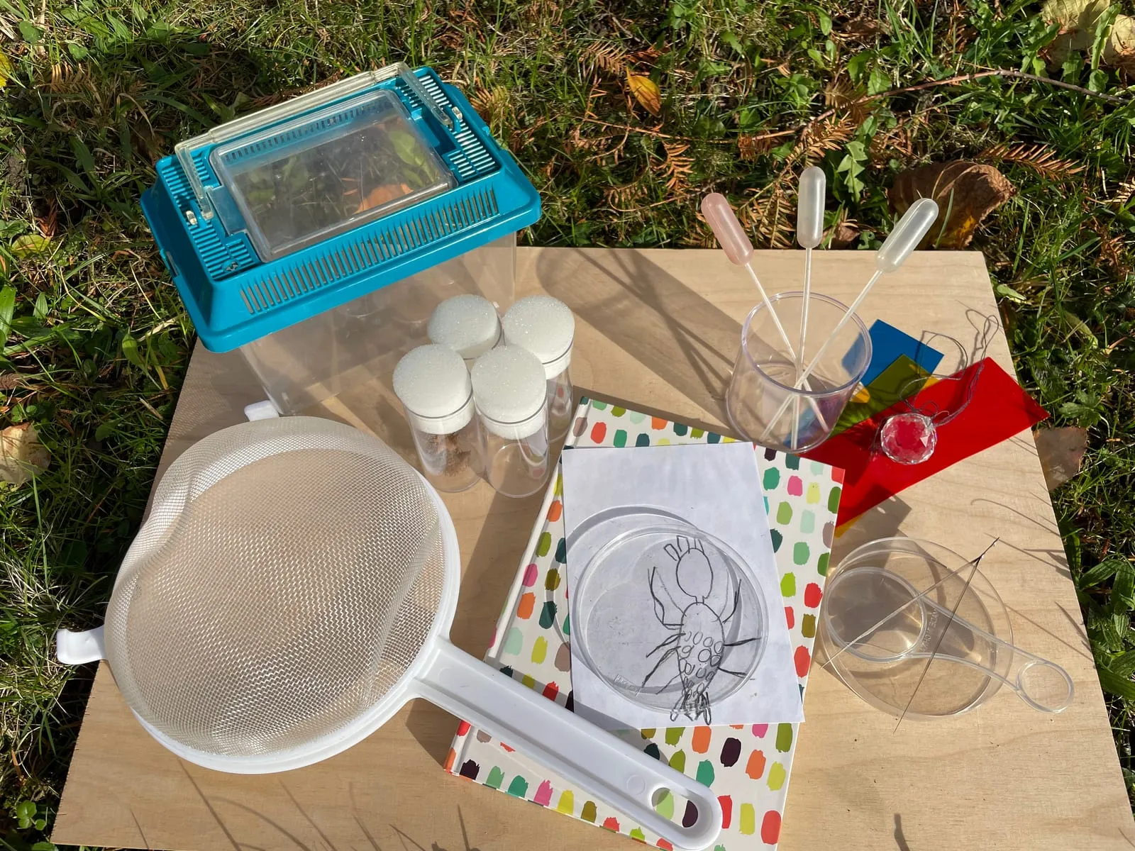 Becherlupe, Sieb und Forschermaterial für die Naturerkundung mit Kindern