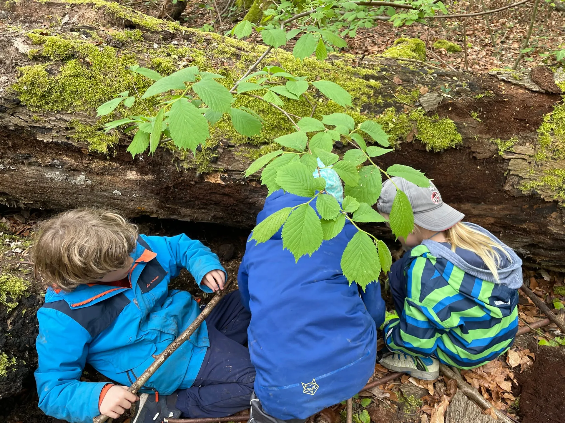Kinder erforschen gemeinsam einen umgestürzten, bemoosten Baumstamm im Wald