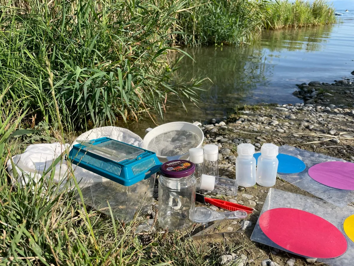 Becherlupen, Siebe und Forschermaterial für die Wasseruntersuchung am Seeufer
